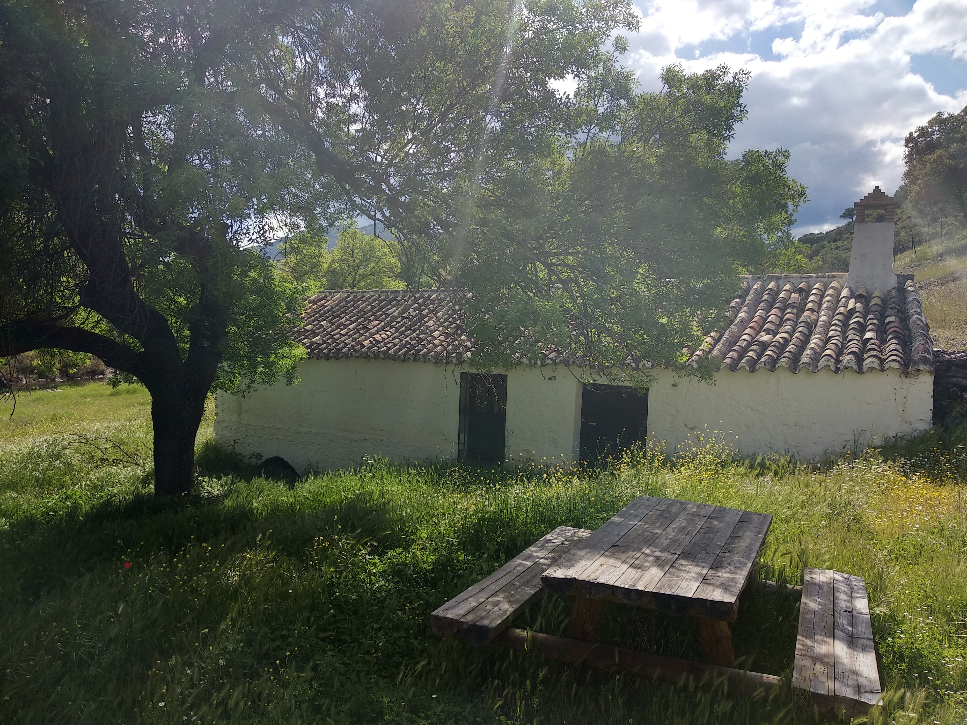 Molino Flor de Ribera