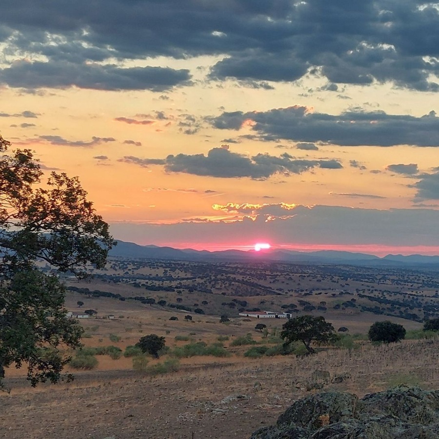Puesta de sol desde Sisapo