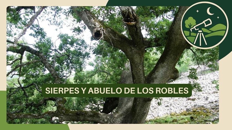 Ruta de la Sierpes y Roble el&nbsp;Abuelo